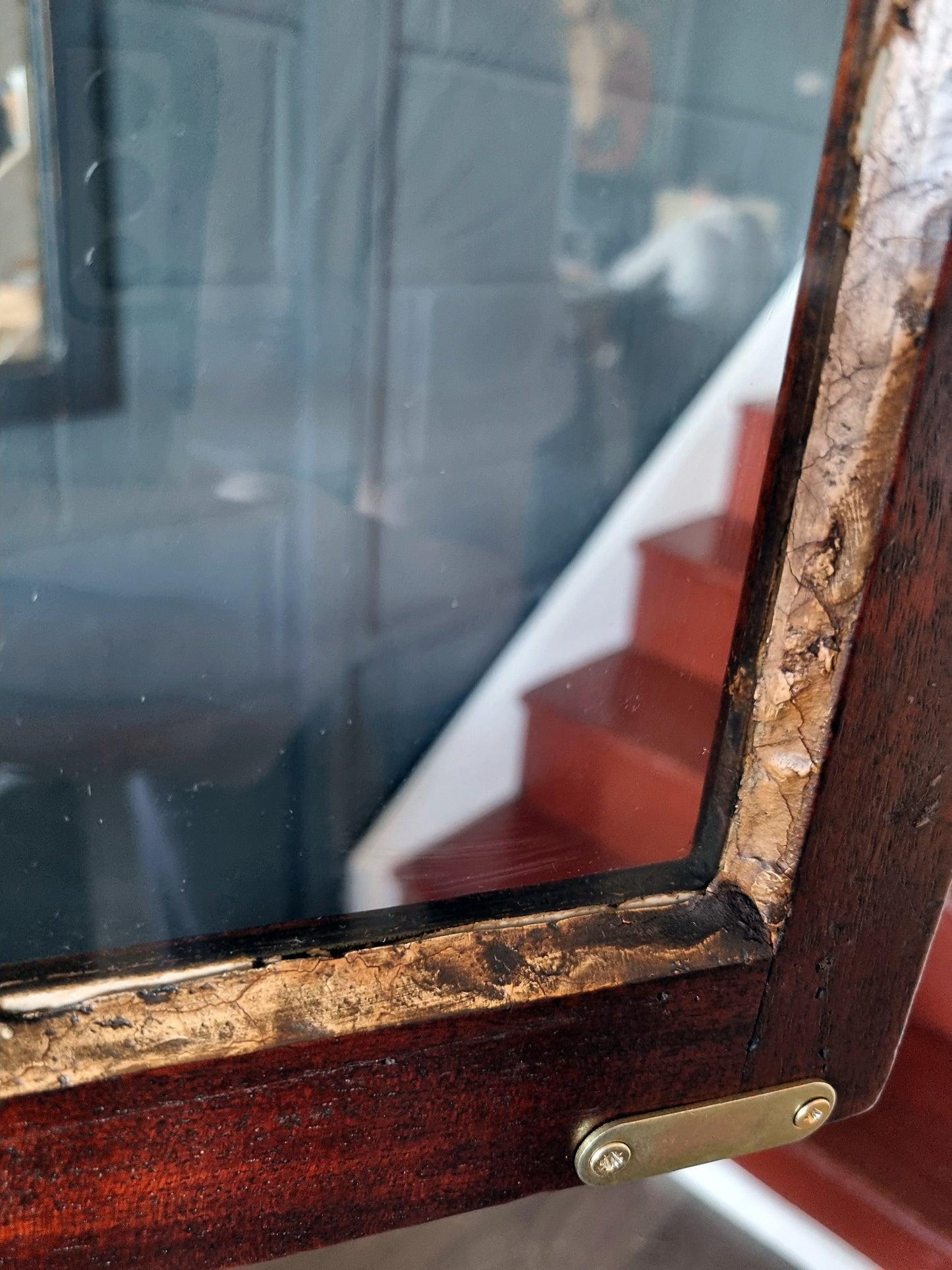 George IV Mahogany Corner Display Cabinet 19th Century