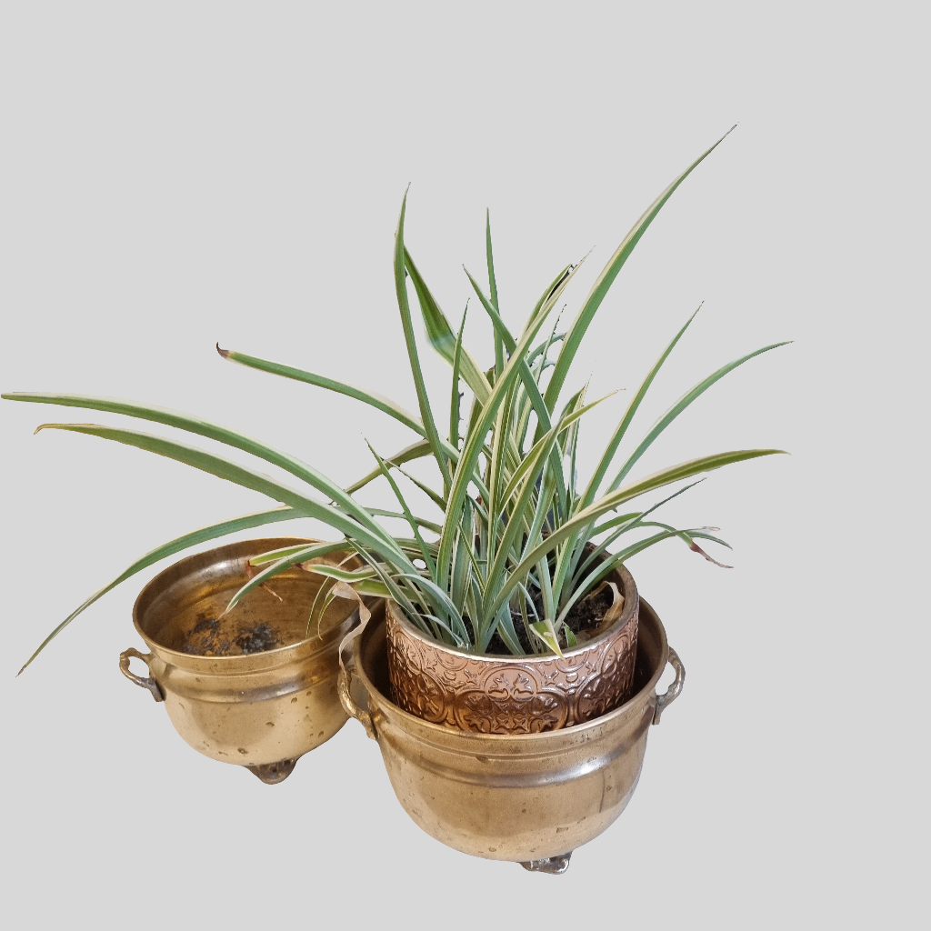 Brass Jardinieres Set - LRBinteriors